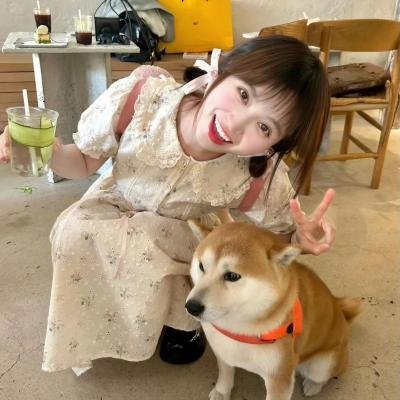贝拉的魔法